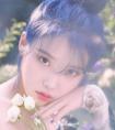 双子座男人和天蝎坐女一年不下床（双子座狮子座）