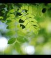 4月25日是什么星座（金牛座暧昧和真爱区别）