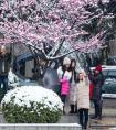 12月七号是什么星座（12月07号是什么星座的）